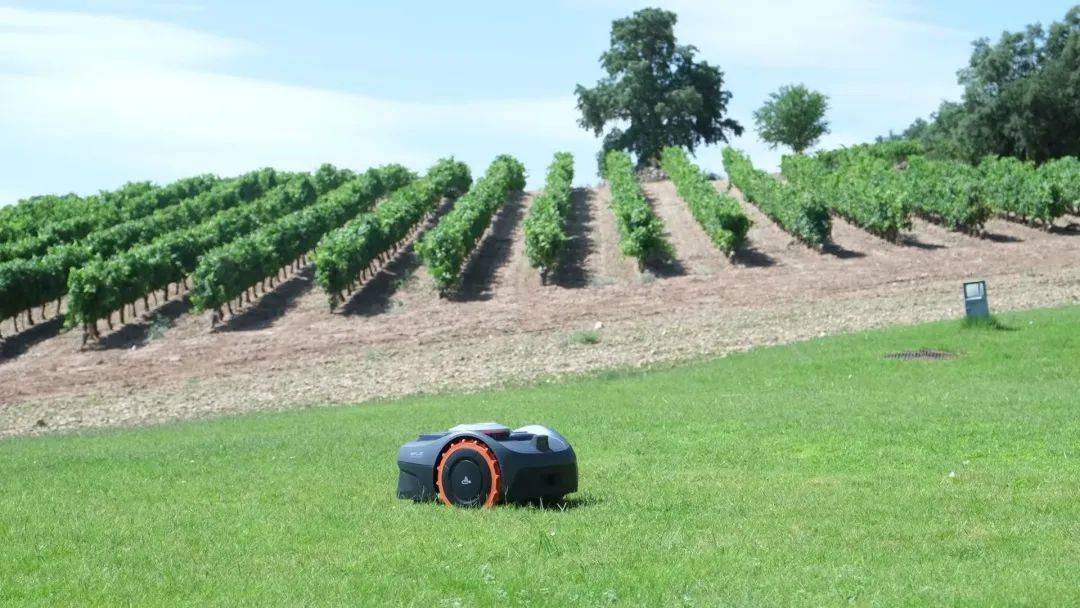 中国のサービスロボットが海外市場に進出：チャンスと課題の両方。